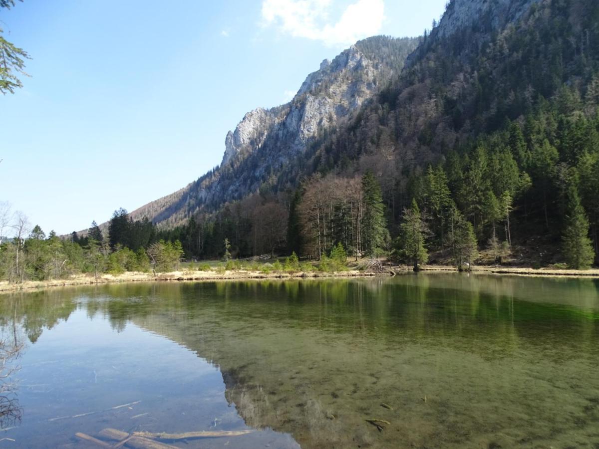 Ferienwohnung Frieda Inzell Zewnętrze zdjęcie